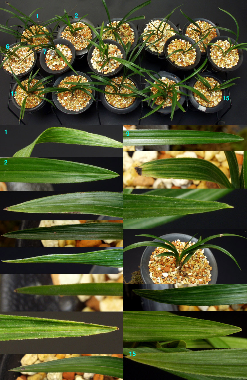 ������ ū������ �� �� �ֽ��ϴ�.