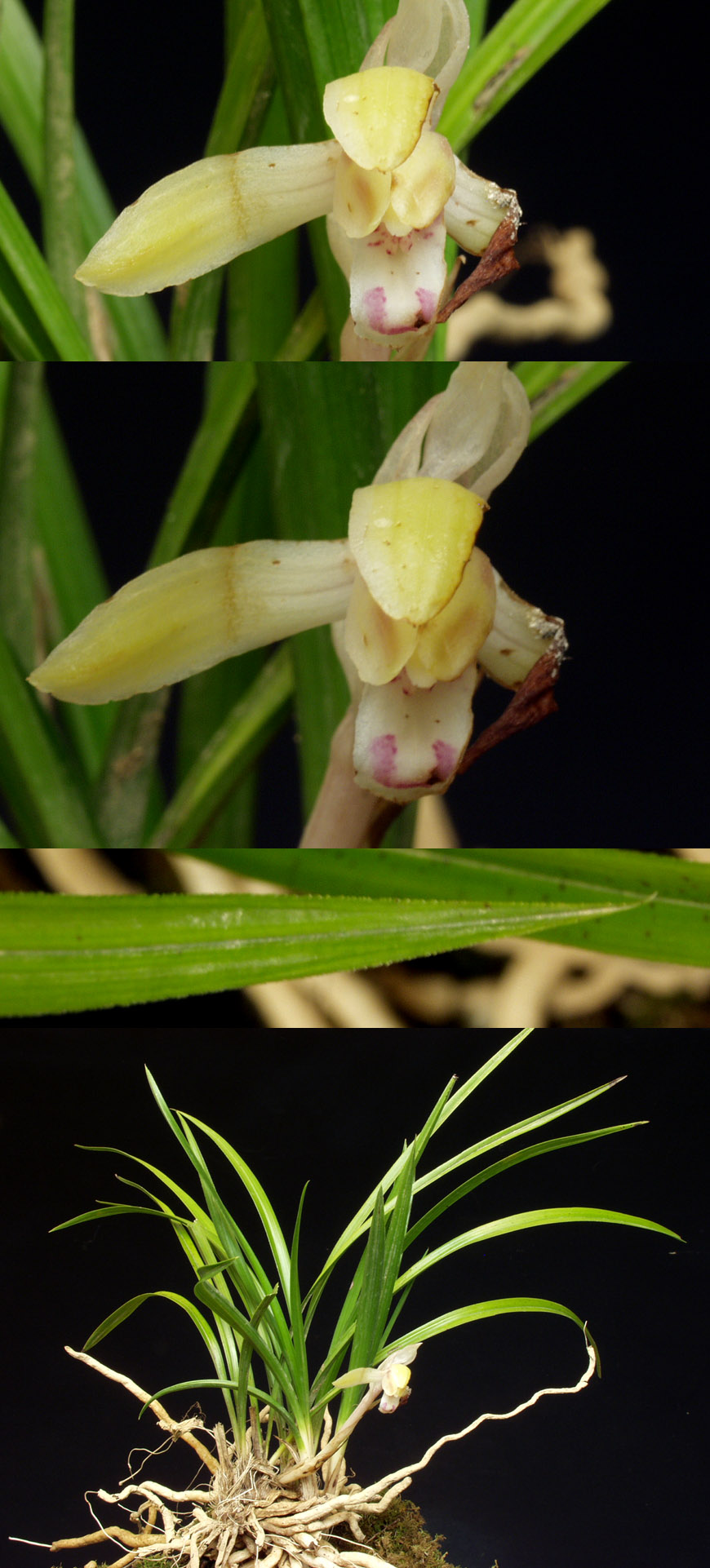 ������ ū������ �� �� �ֽ��ϴ�.