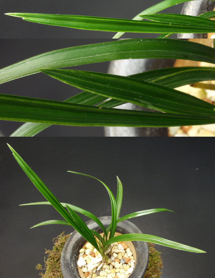 ������ ū������ �� �� �ֽ��ϴ�.