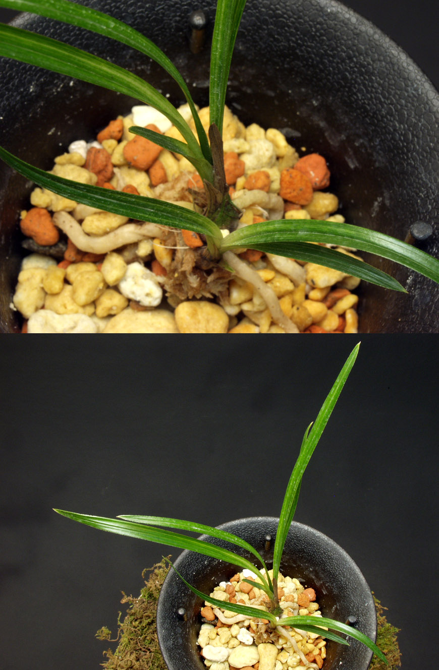 ������ ū������ �� �� �ֽ��ϴ�.