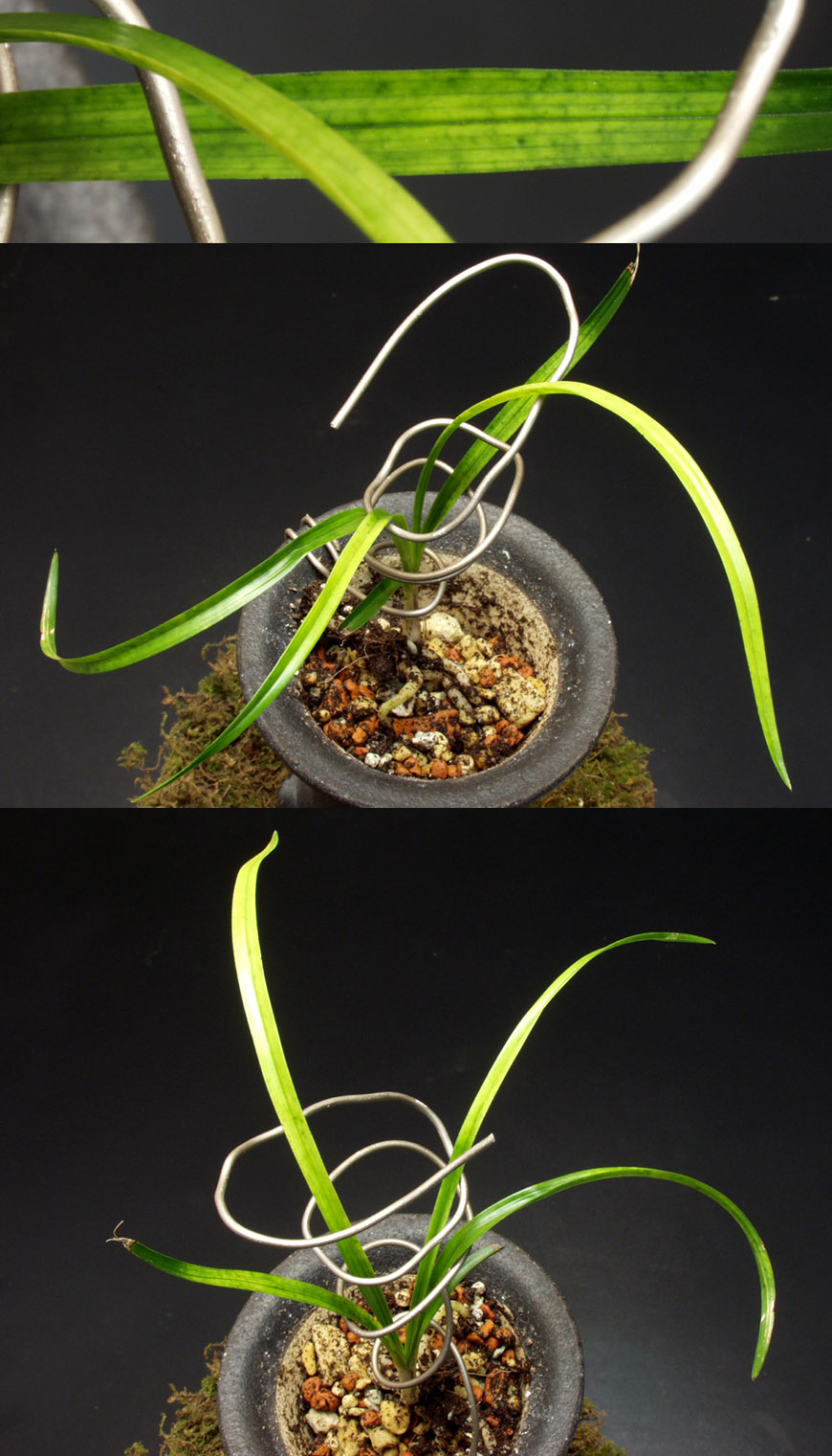 ������ ū������ �� �� �ֽ��ϴ�.