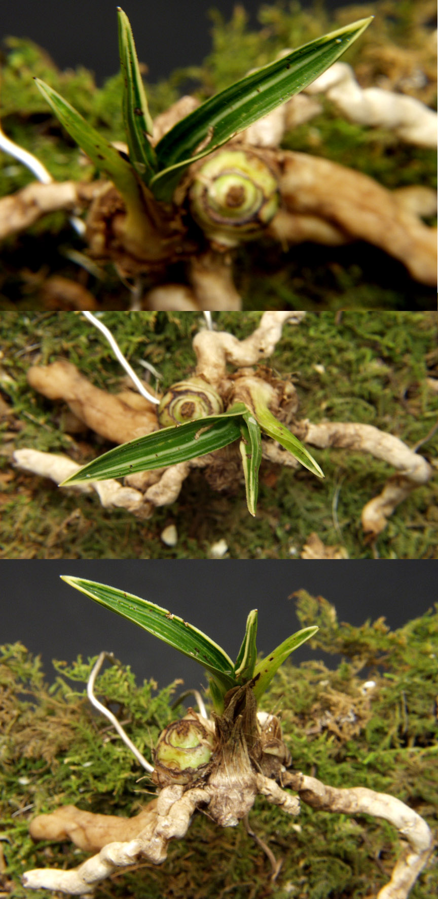 ������ ū������ �� �� �ֽ��ϴ�.