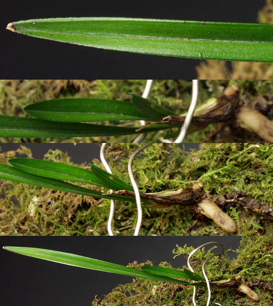 ������ ū������ �� �� �ֽ��ϴ�.