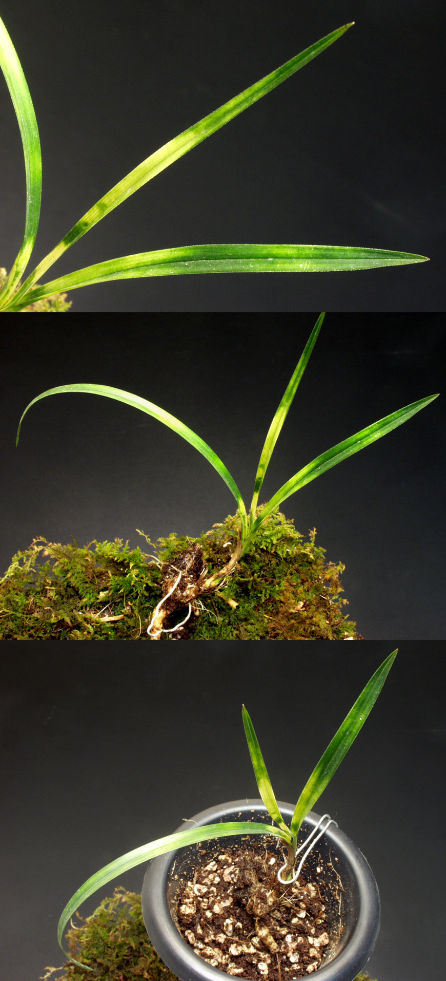 ������ ū������ �� �� �ֽ��ϴ�.