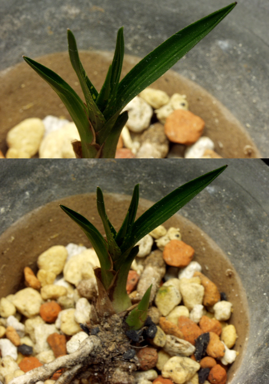 ������ ū������ �� �� �ֽ��ϴ�.