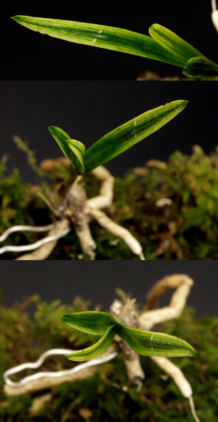 ������ ū������ �� �� �ֽ��ϴ�.