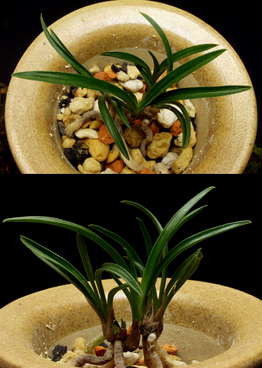 ������ ū������ �� �� �ֽ��ϴ�.