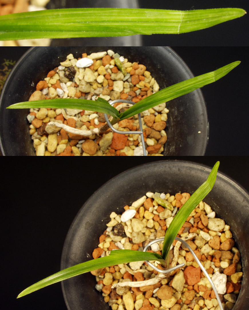 ������ ū������ �� �� �ֽ��ϴ�.