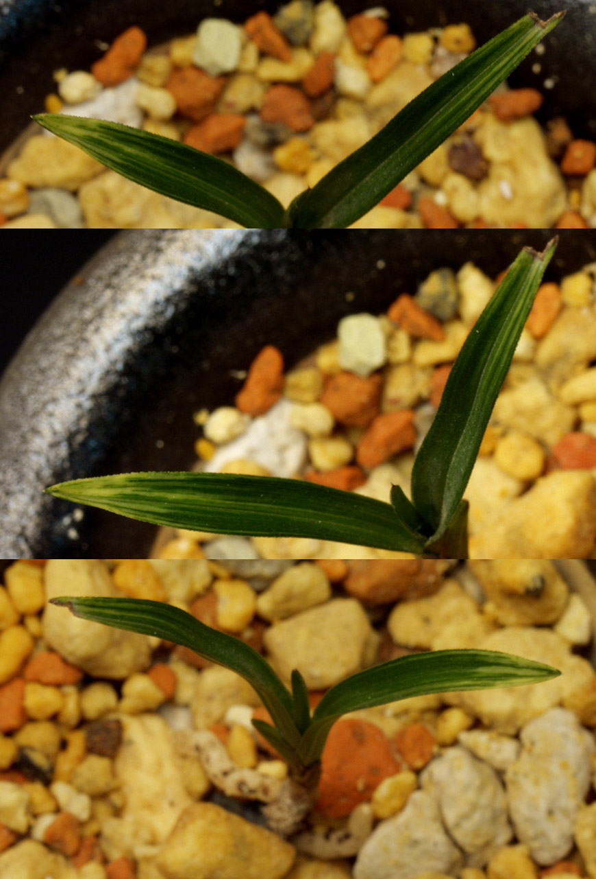 ������ ū������ �� �� �ֽ��ϴ�.