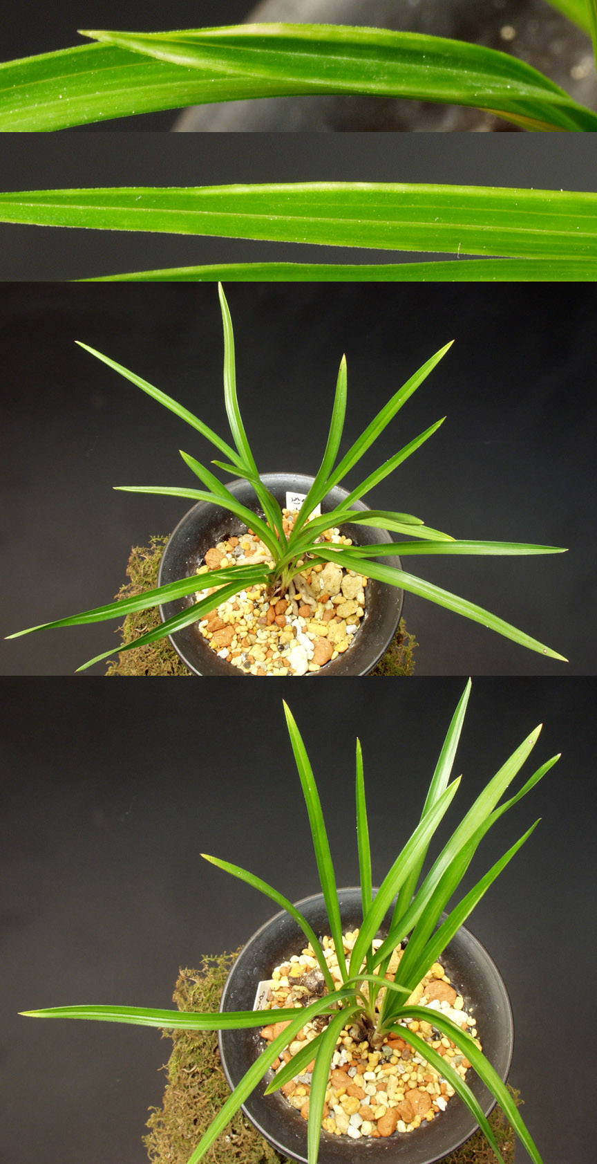 ������ ū������ �� �� �ֽ��ϴ�.