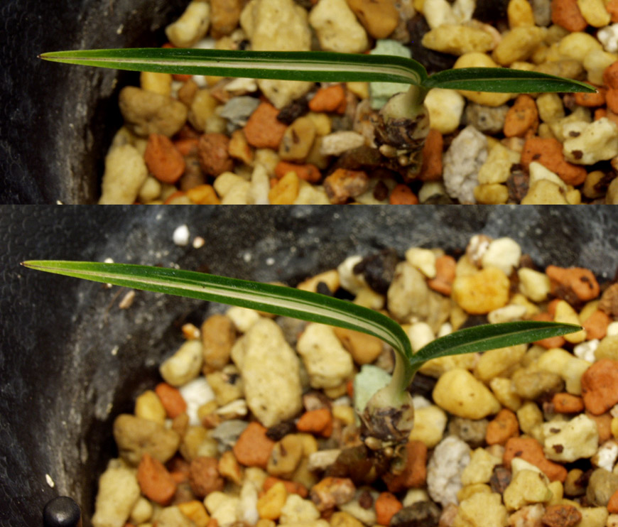 ������ ū������ �� �� �ֽ��ϴ�.