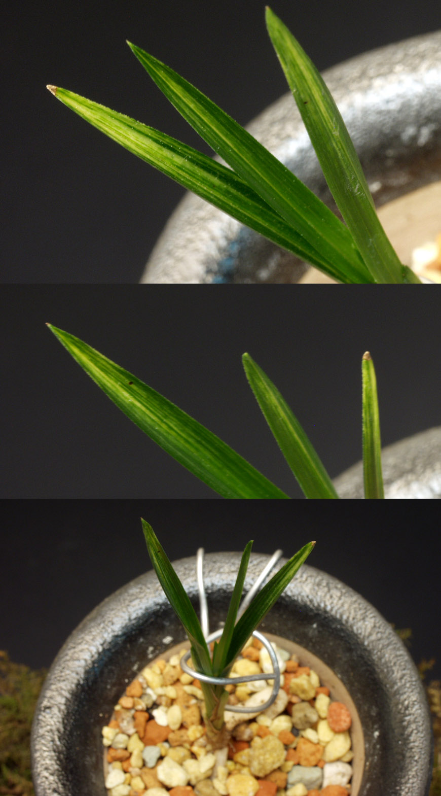 ������ ū������ �� �� �ֽ��ϴ�.