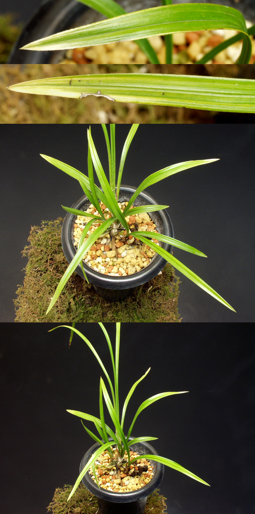 ������ ū������ �� �� �ֽ��ϴ�.