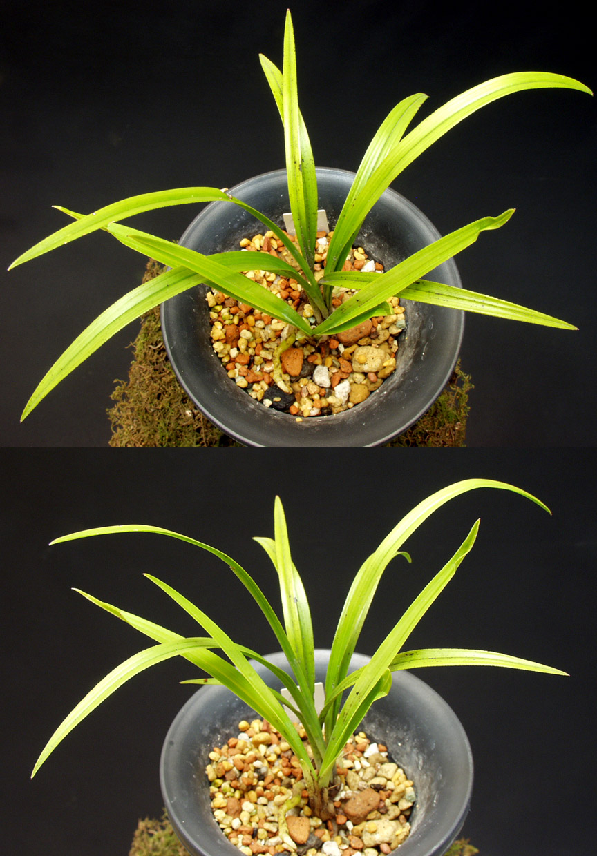 ������ ū������ �� �� �ֽ��ϴ�.