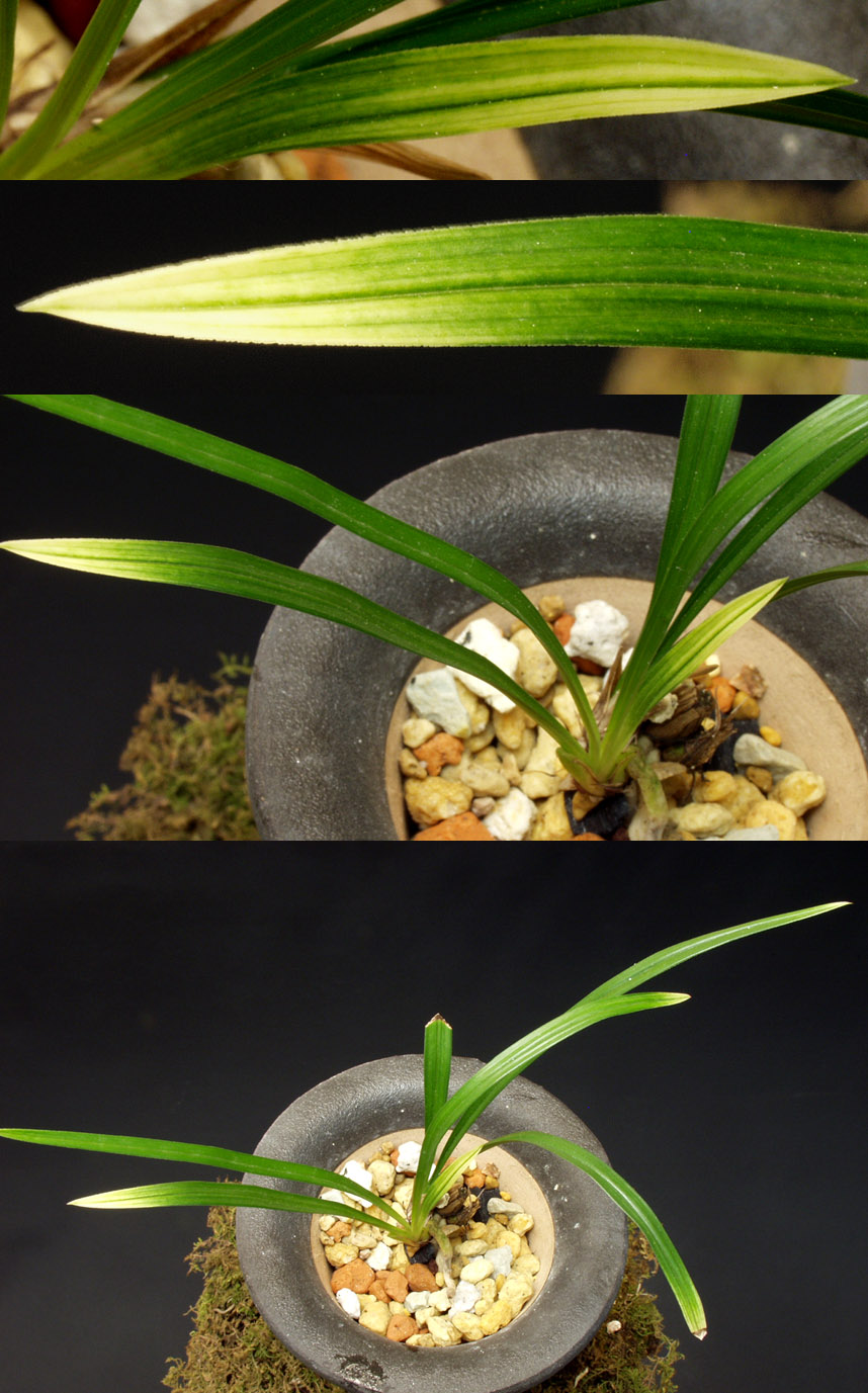 ������ ū������ �� �� �ֽ��ϴ�.