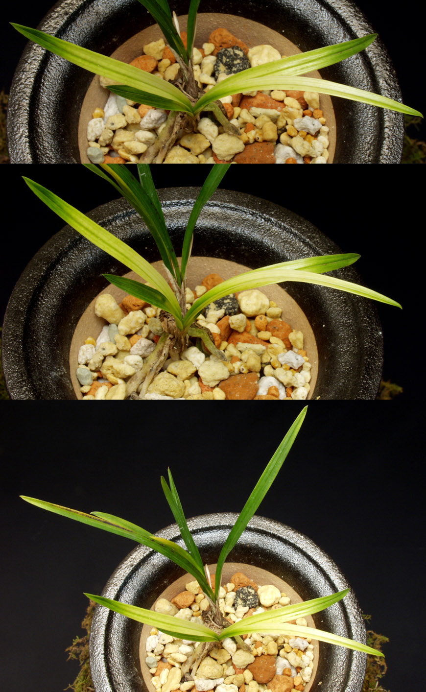 ������ ū������ �� �� �ֽ��ϴ�.