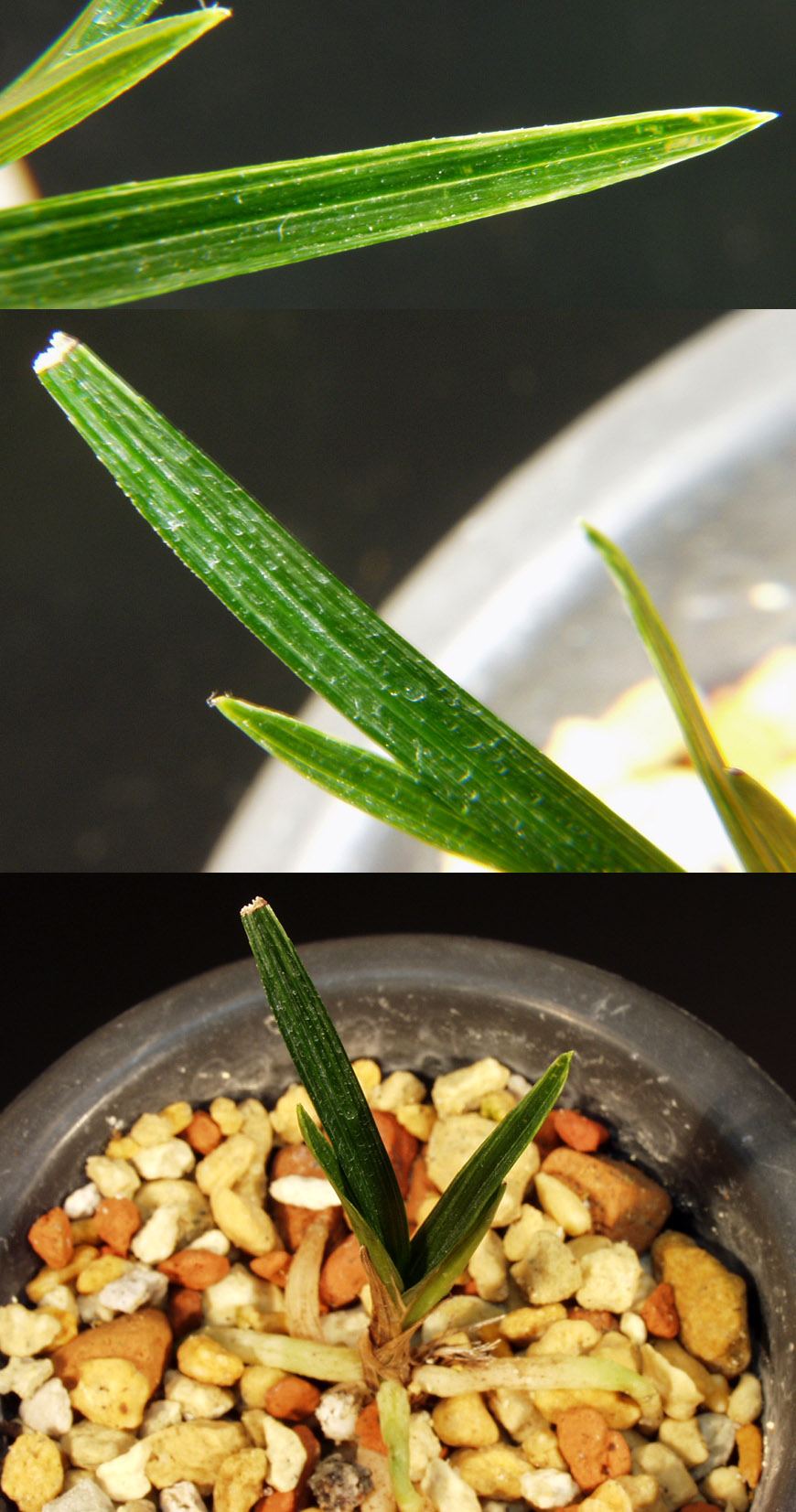 ������ ū������ �� �� �ֽ��ϴ�.