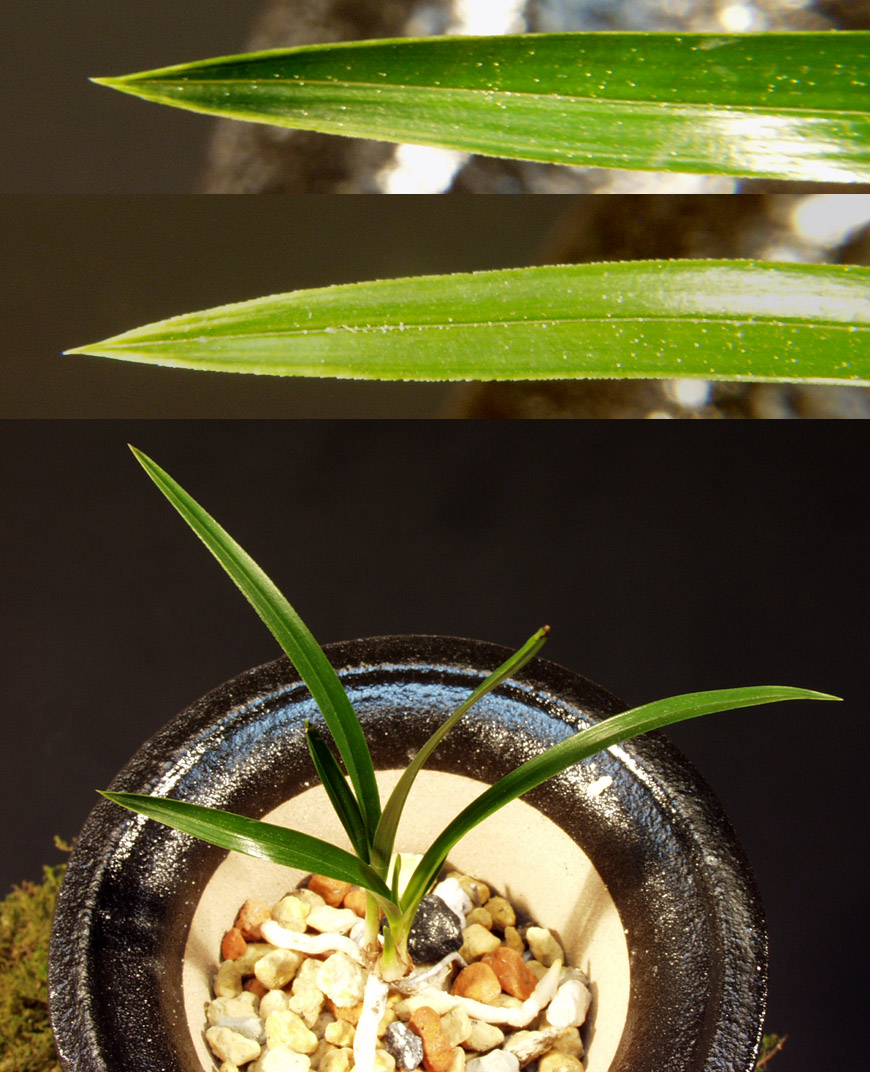 ������ ū������ �� �� �ֽ��ϴ�.