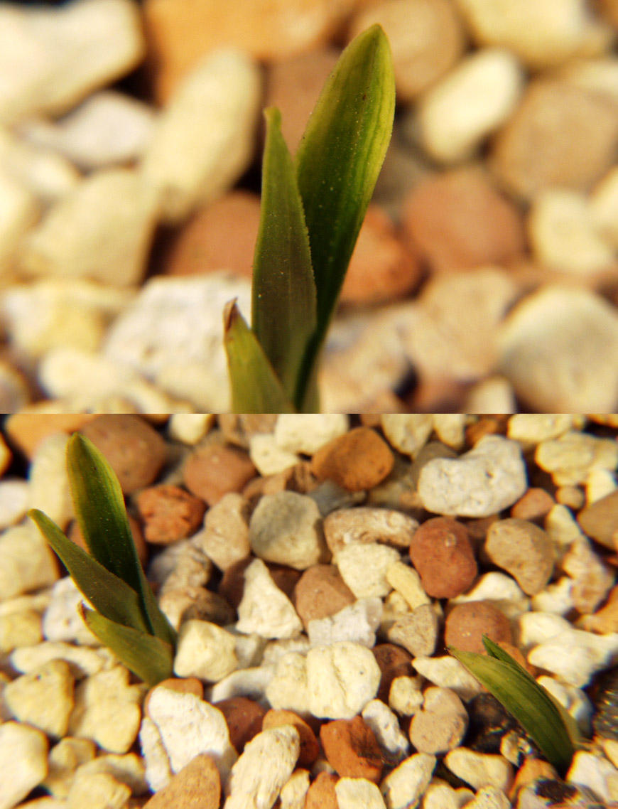 ������ ū������ �� �� �ֽ��ϴ�.