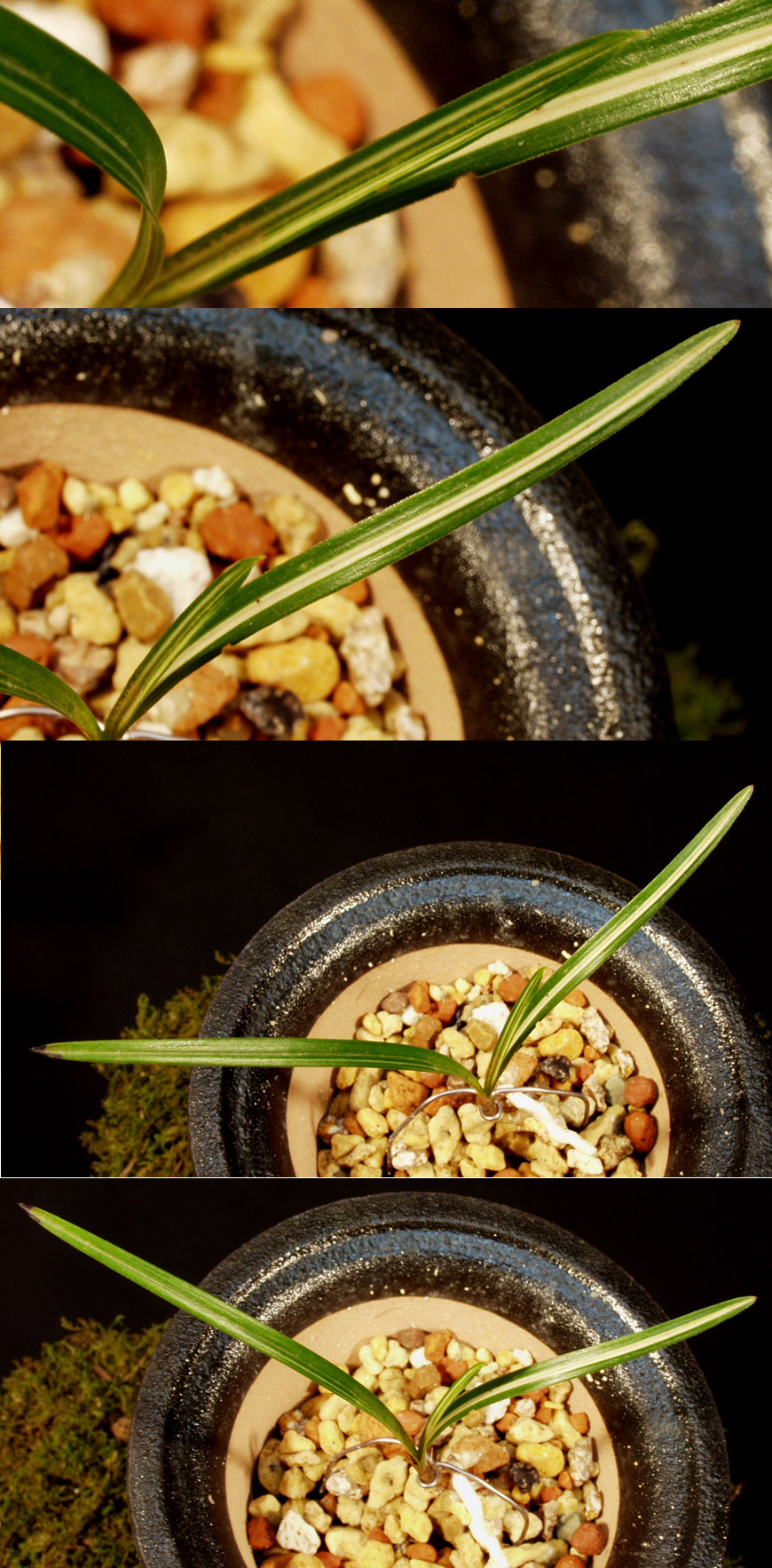 ������ ū������ �� �� �ֽ��ϴ�.