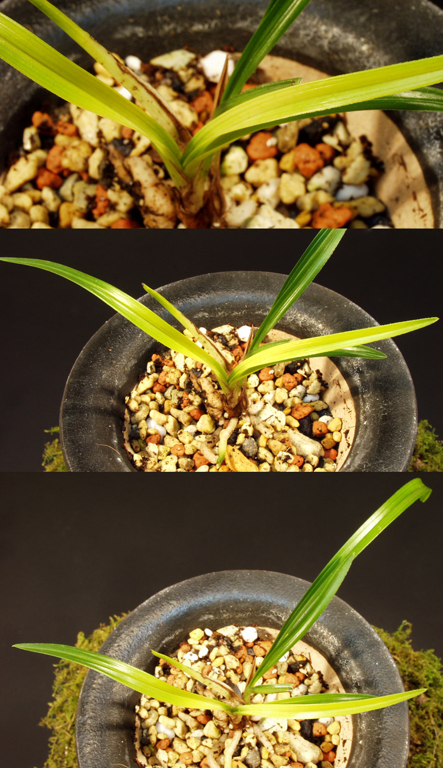 ������ ū������ �� �� �ֽ��ϴ�.