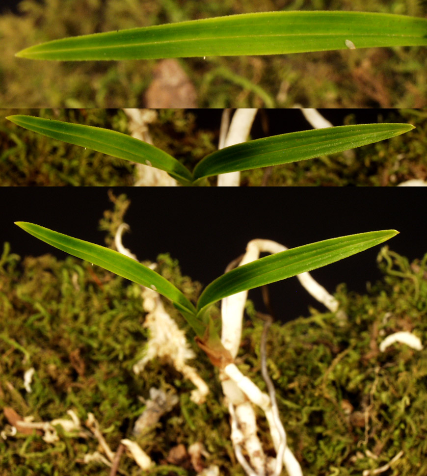 ������ ū������ �� �� �ֽ��ϴ�.