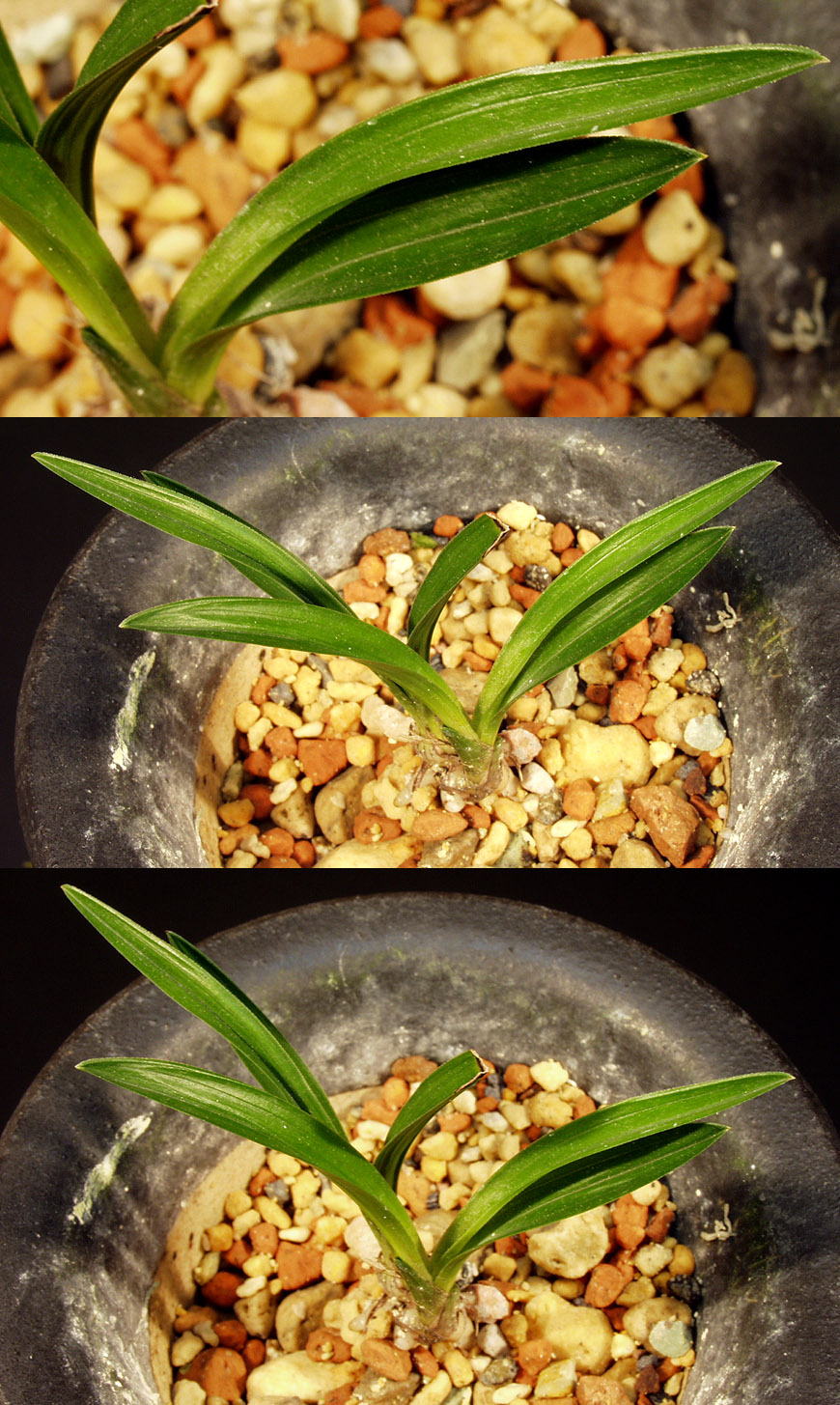 ������ ū������ �� �� �ֽ��ϴ�.