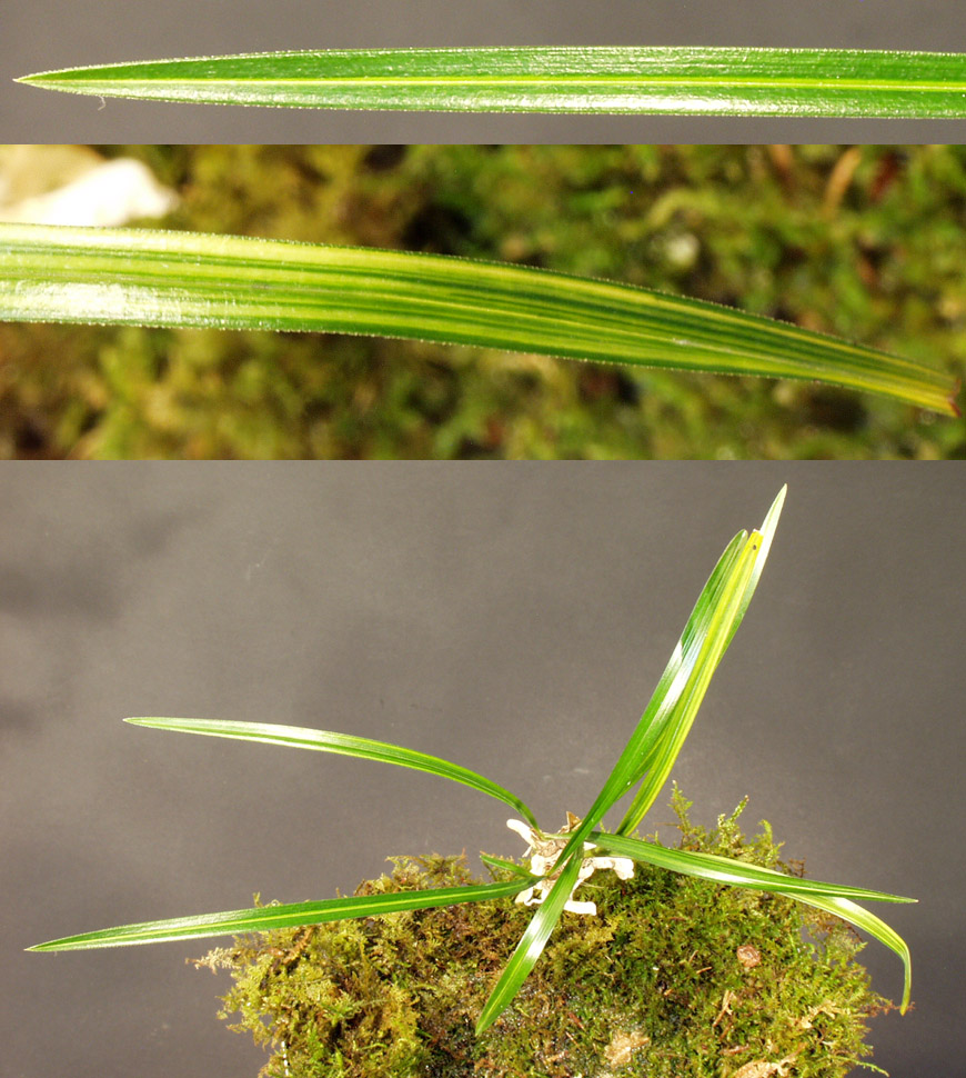 ������ ū������ �� �� �ֽ��ϴ�.