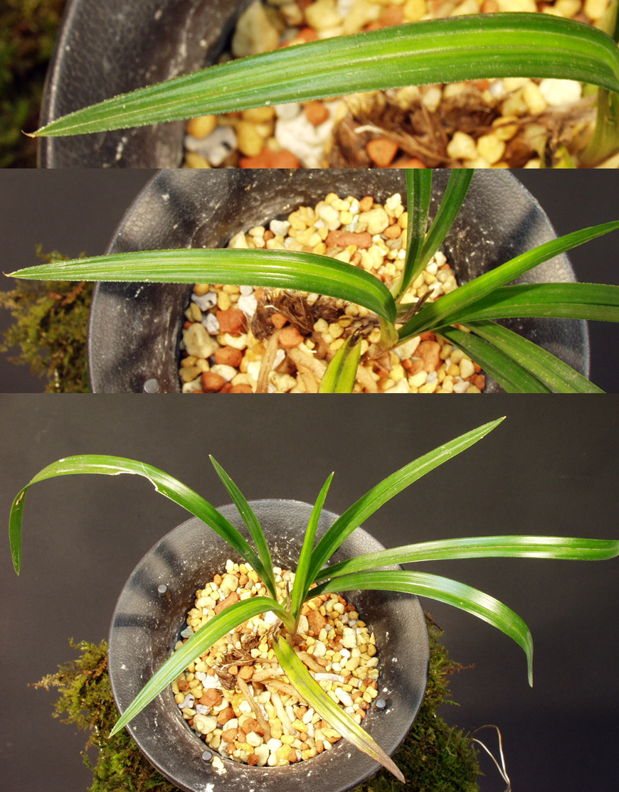 ������ ū������ �� �� �ֽ��ϴ�.