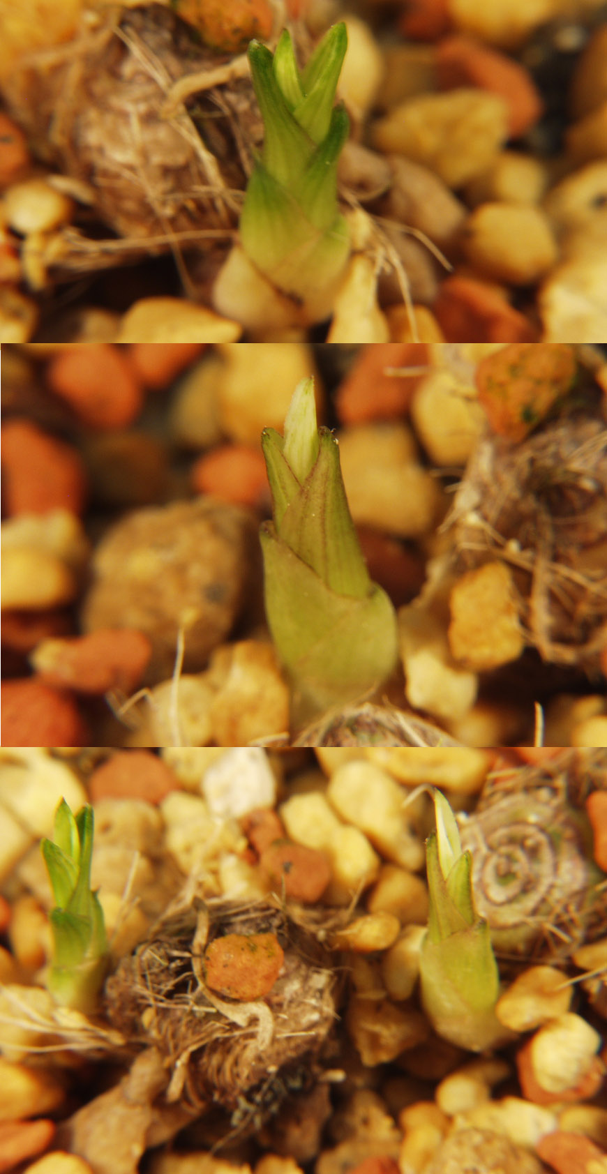 ������ ū������ �� �� �ֽ��ϴ�.