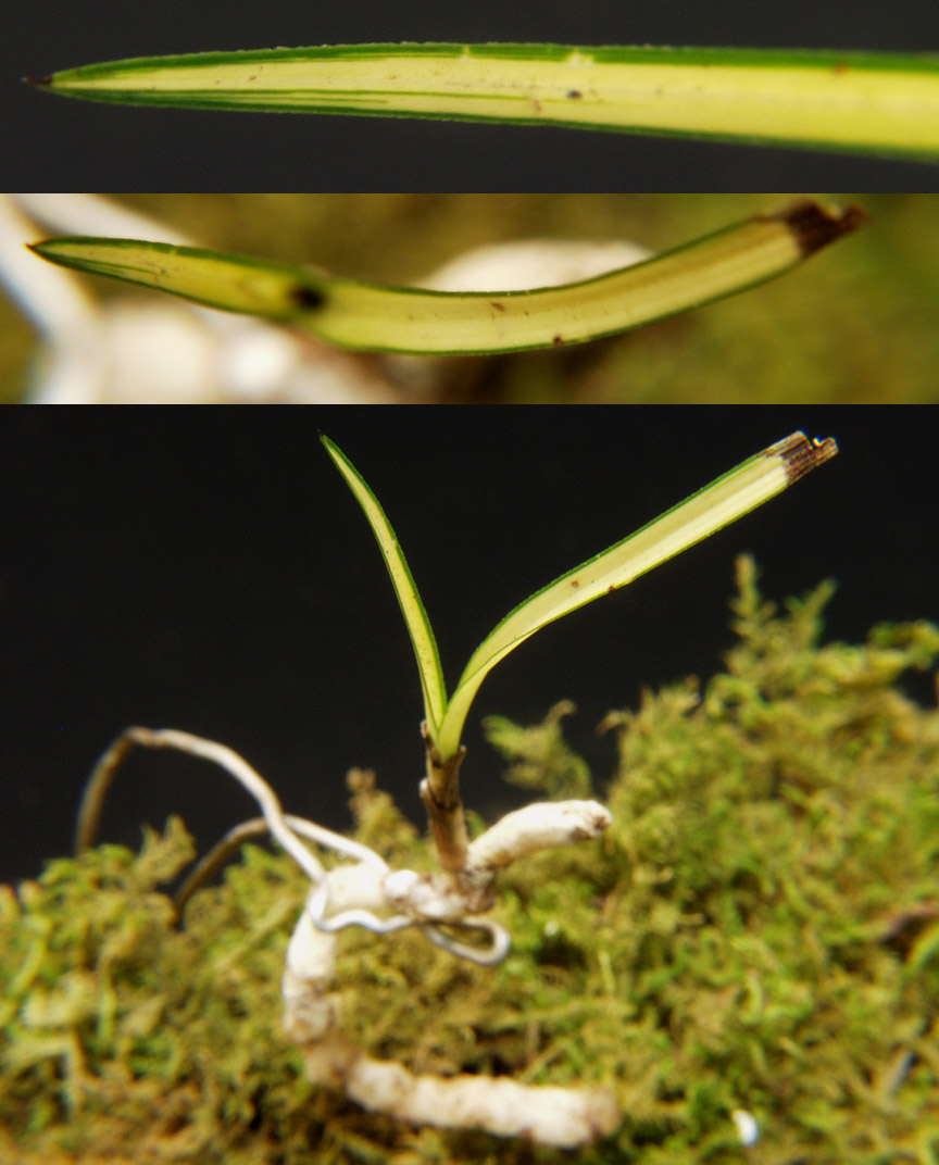 ������ ū������ �� �� �ֽ��ϴ�.