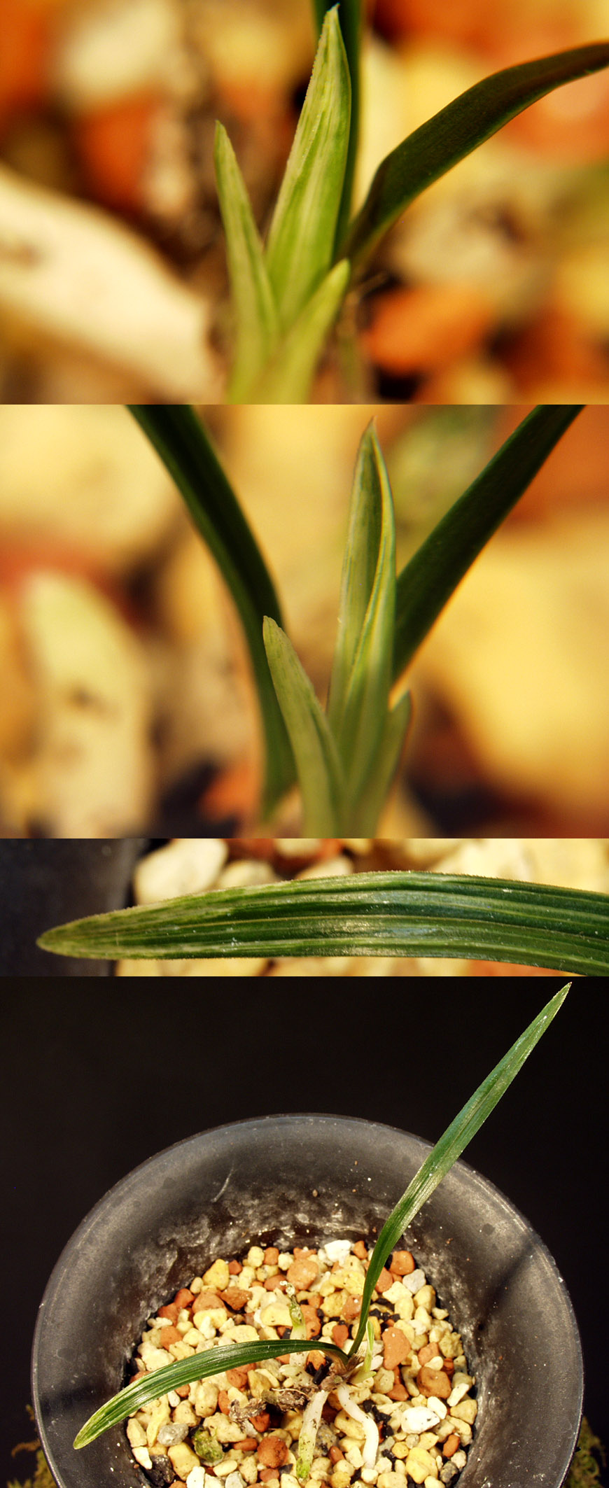 ������ ū������ �� �� �ֽ��ϴ�.