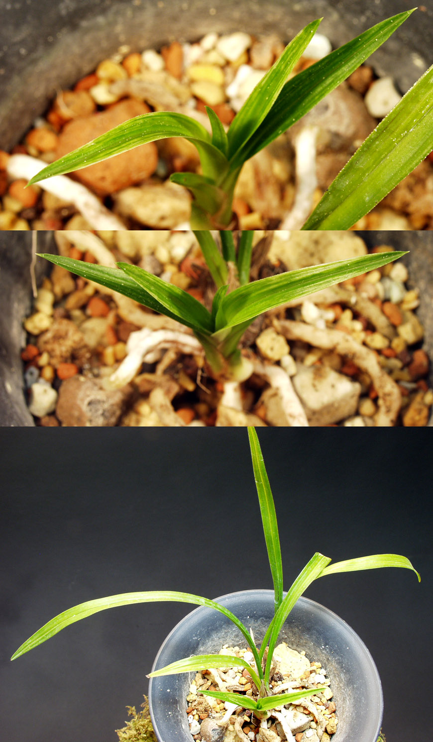 ������ ū������ �� �� �ֽ��ϴ�.