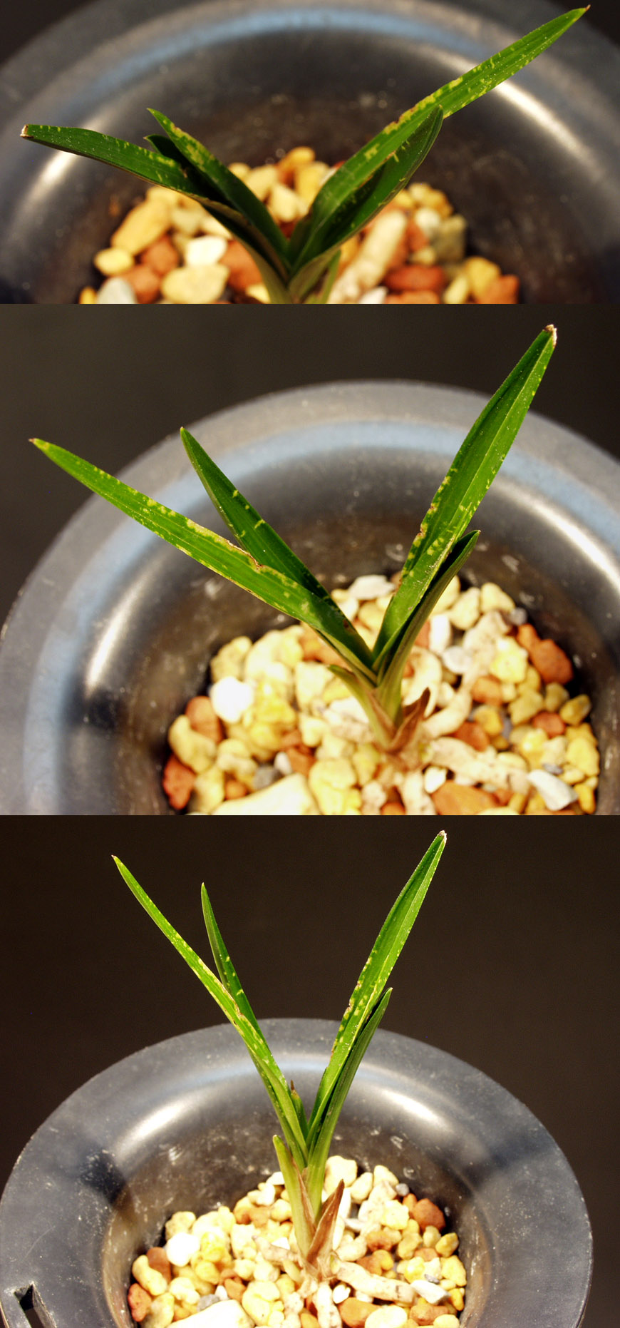 ������ ū������ �� �� �ֽ��ϴ�.