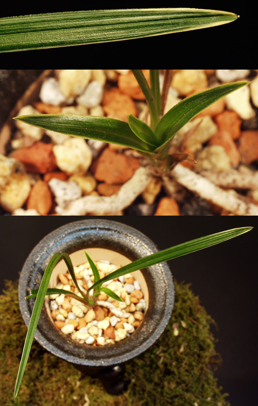 ������ ū������ �� �� �ֽ��ϴ�.