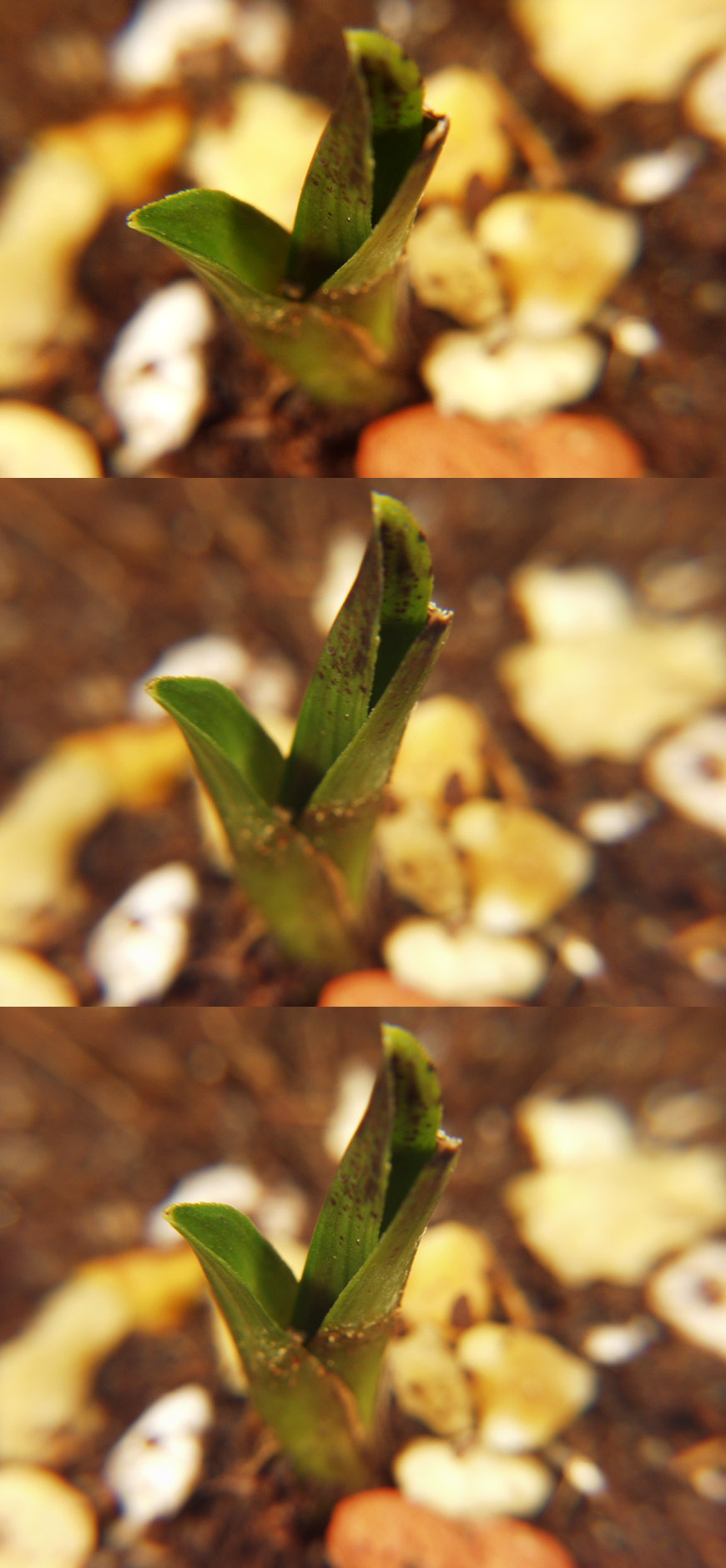 ������ ū������ �� �� �ֽ��ϴ�.