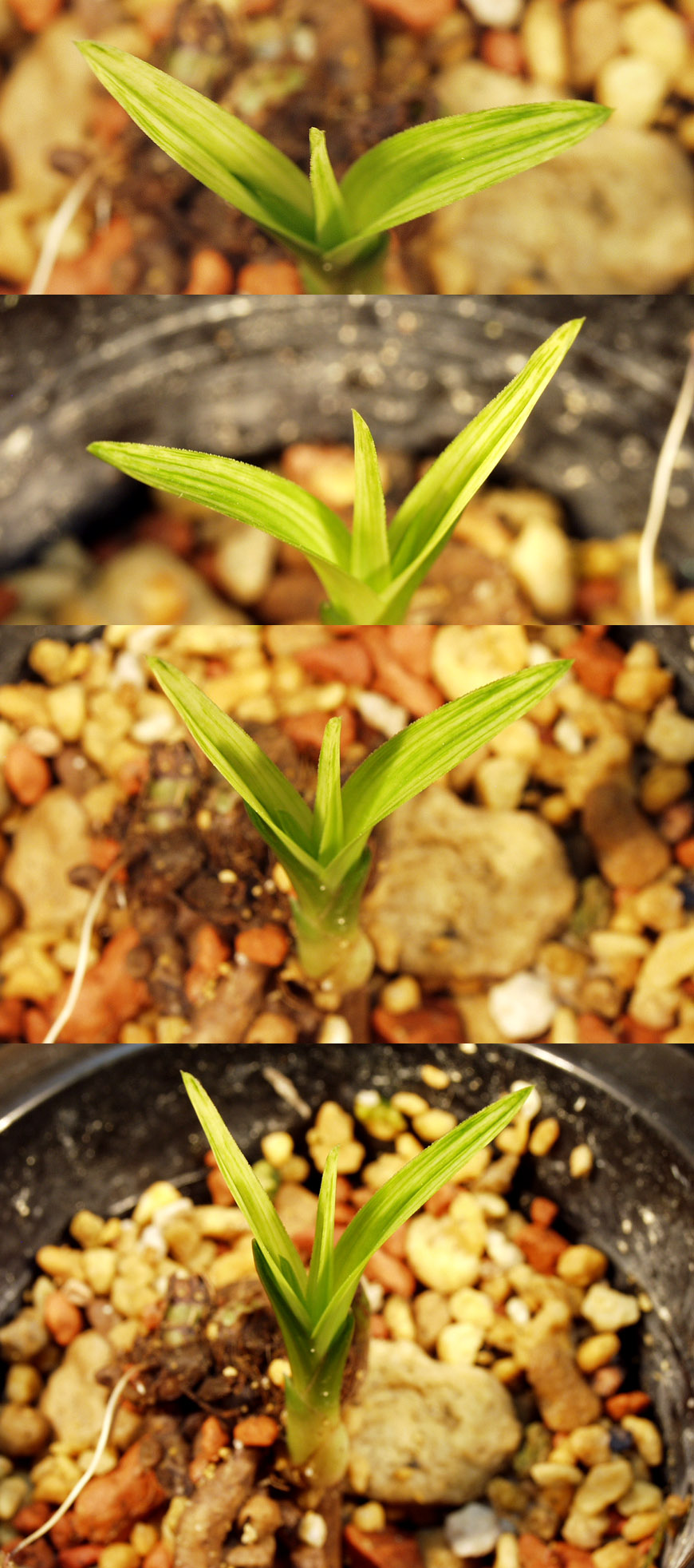 ������ ū������ �� �� �ֽ��ϴ�.