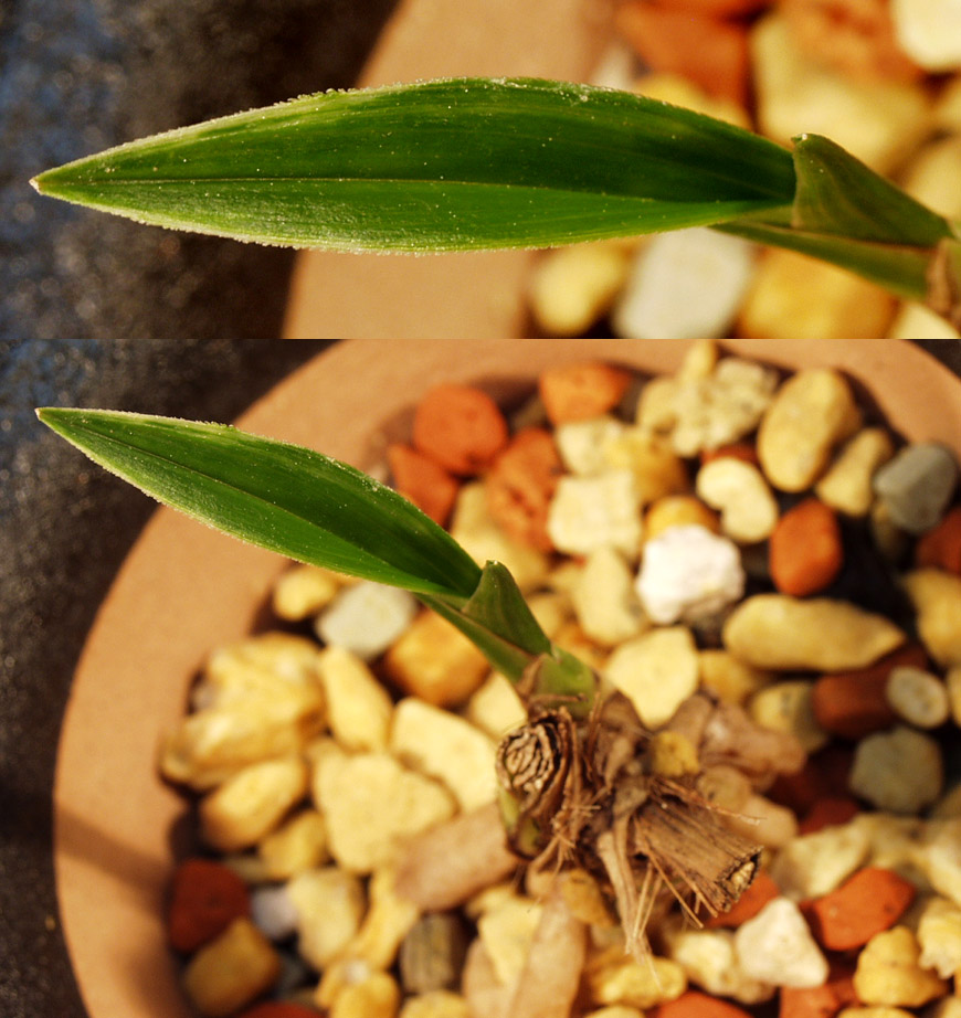 ������ ū������ �� �� �ֽ��ϴ�.