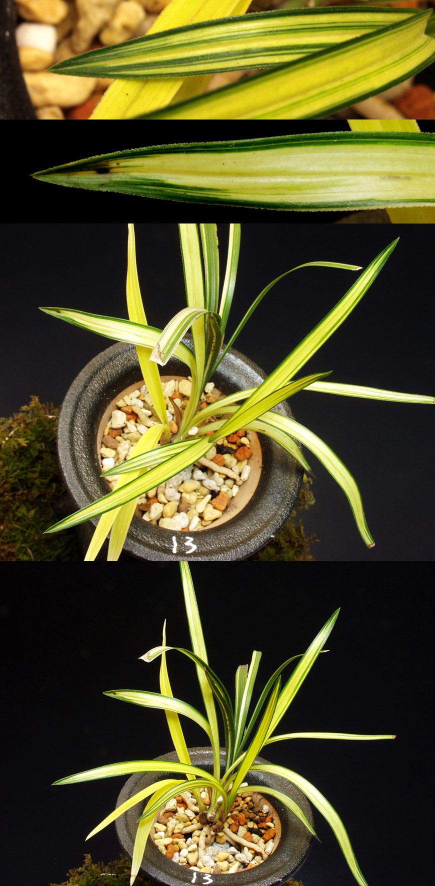 ������ ū������ �� �� �ֽ��ϴ�.