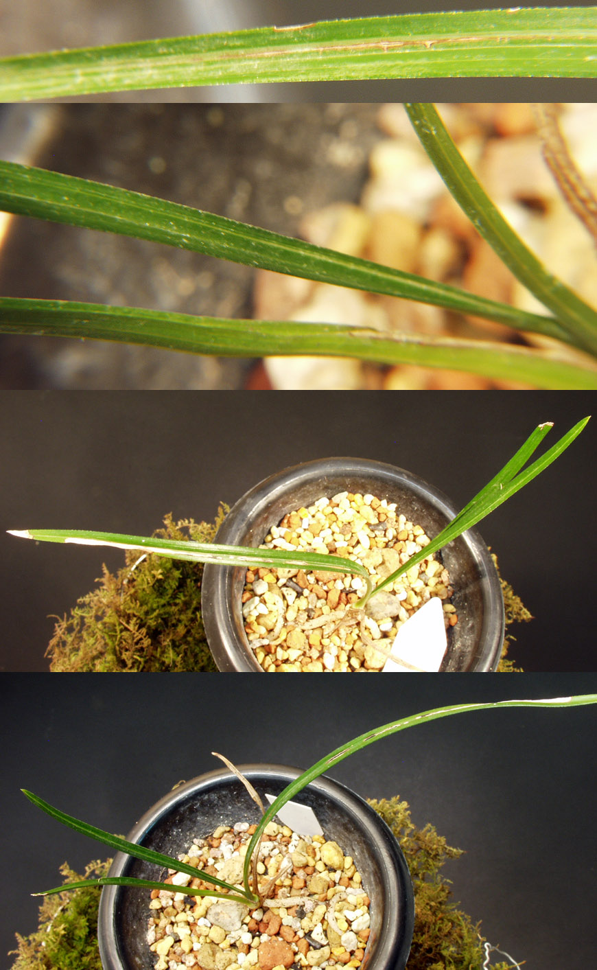 ������ ū������ �� �� �ֽ��ϴ�.