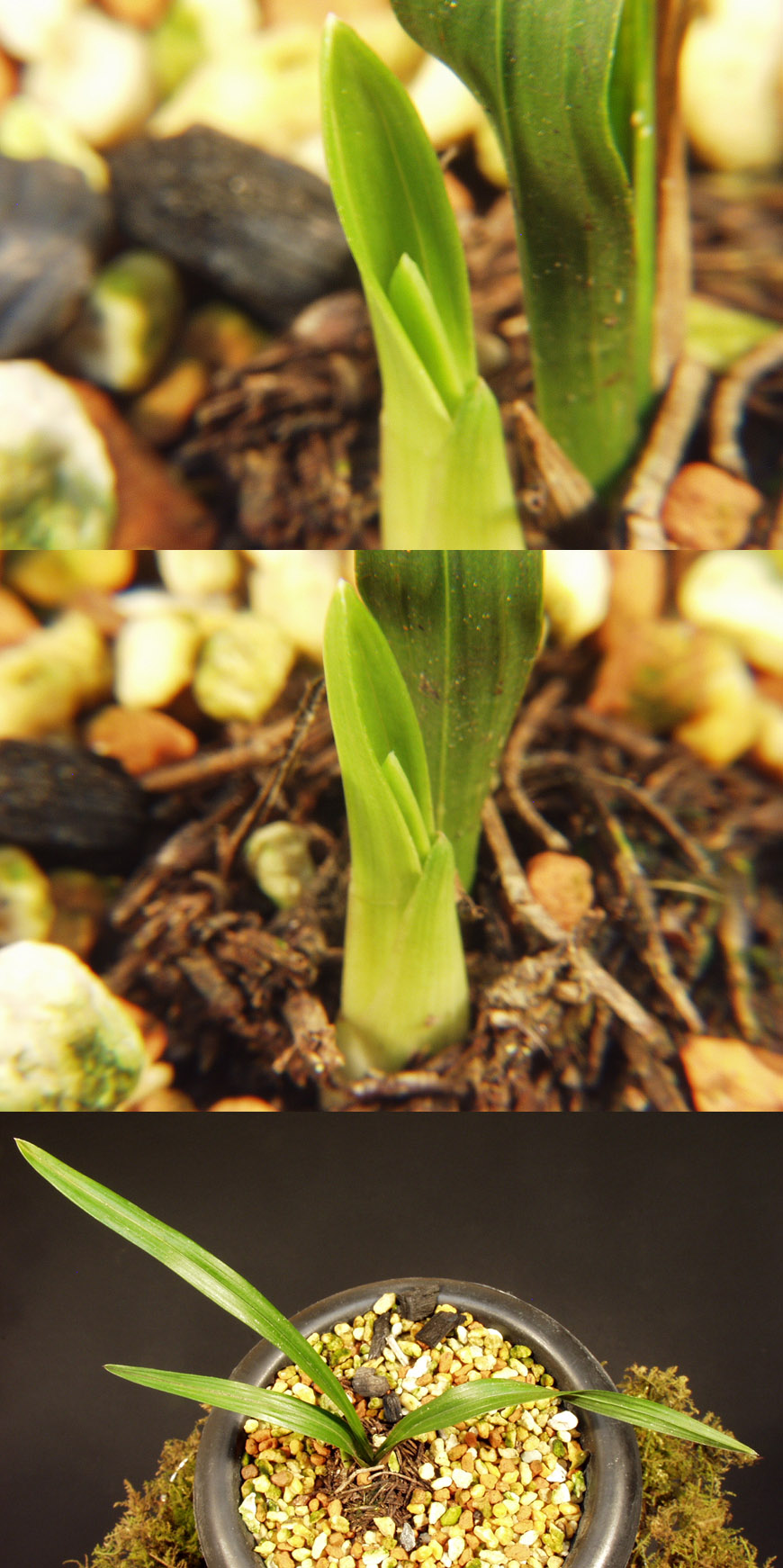 ������ ū������ �� �� �ֽ��ϴ�.