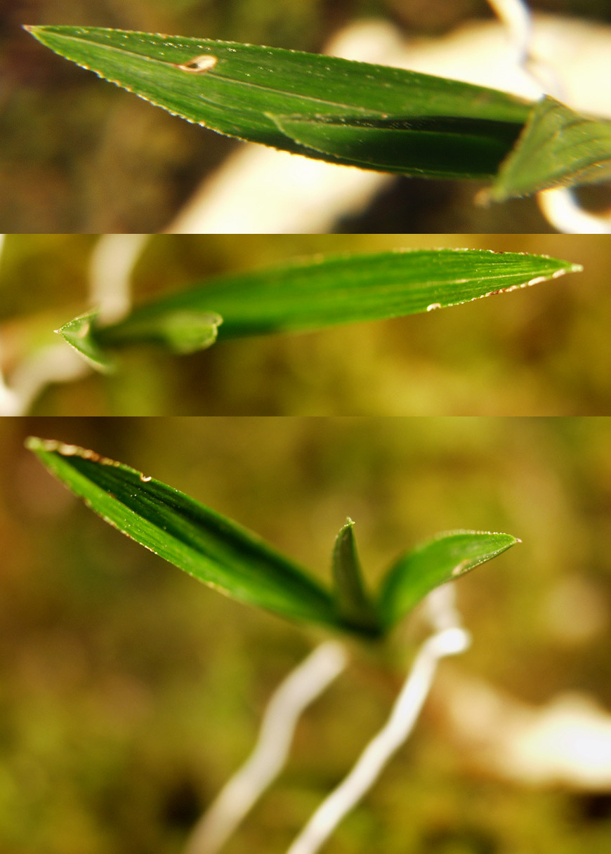 ������ ū������ �� �� �ֽ��ϴ�.