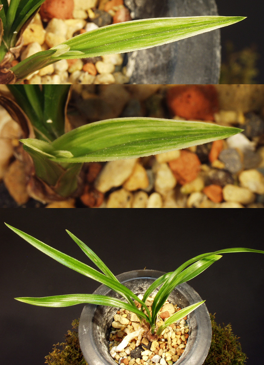 ������ ū������ �� �� �ֽ��ϴ�.