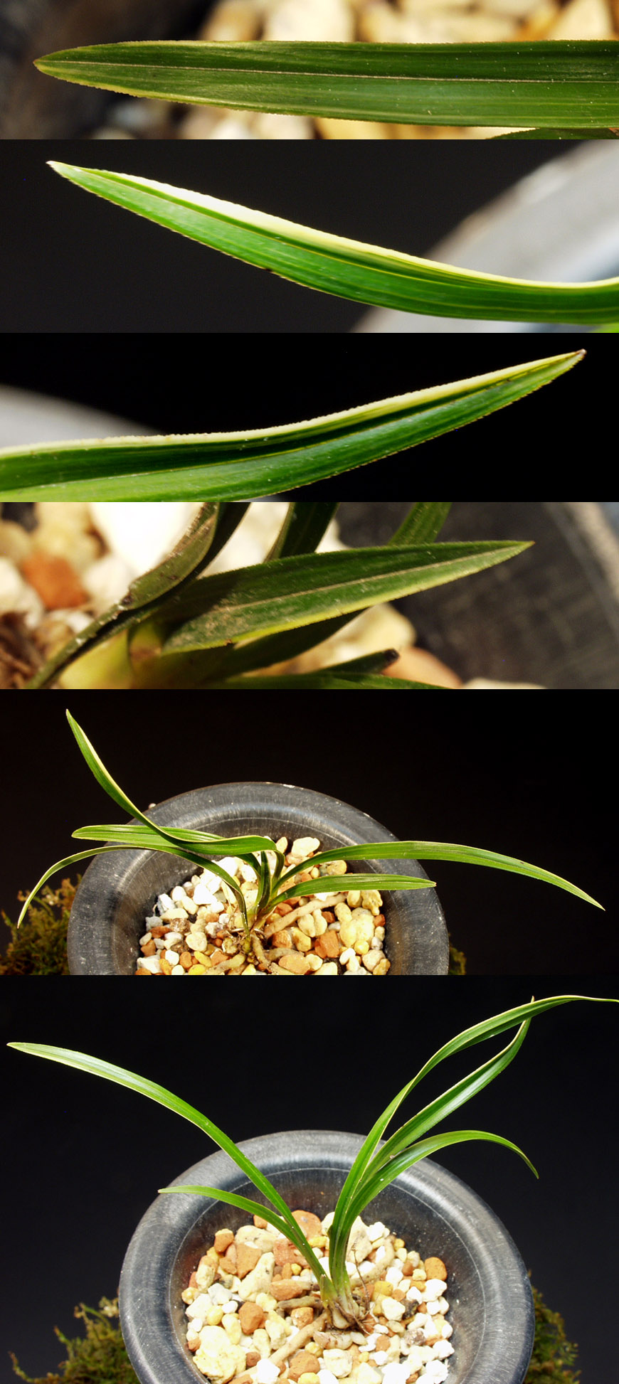 ������ ū������ �� �� �ֽ��ϴ�.