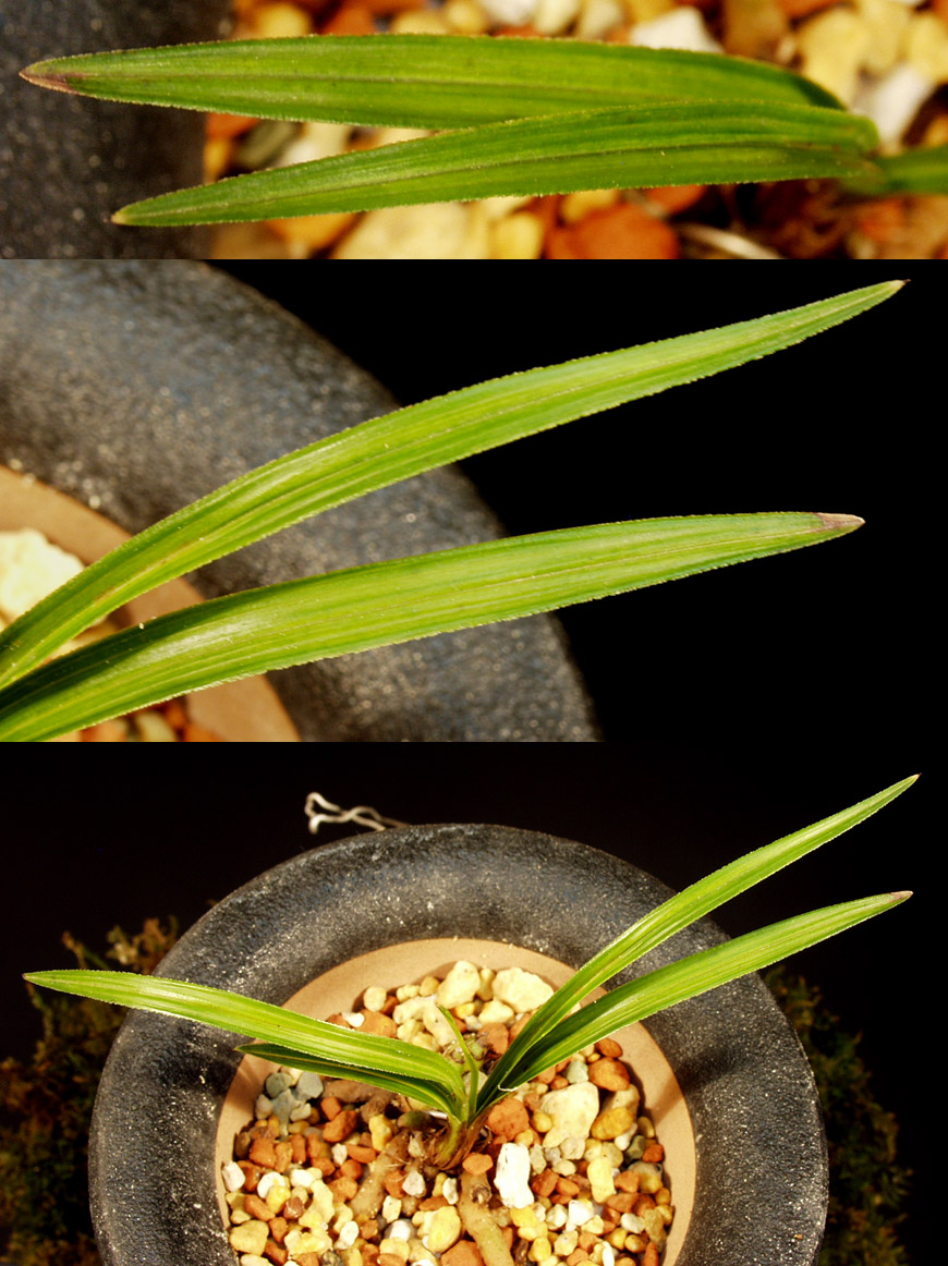 ������ ū������ �� �� �ֽ��ϴ�.