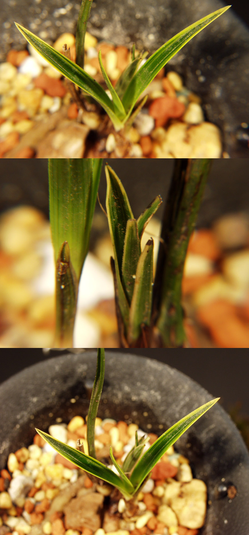 ������ ū������ �� �� �ֽ��ϴ�.