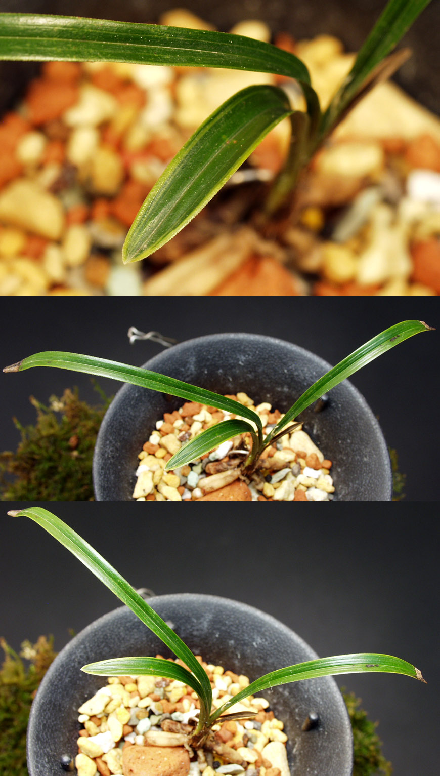 ������ ū������ �� �� �ֽ��ϴ�.