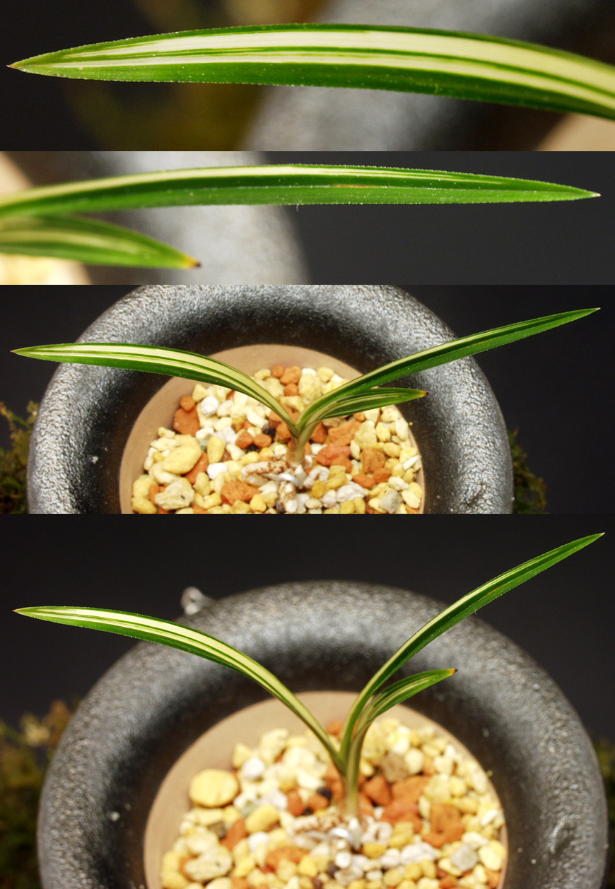 ������ ū������ �� �� �ֽ��ϴ�.