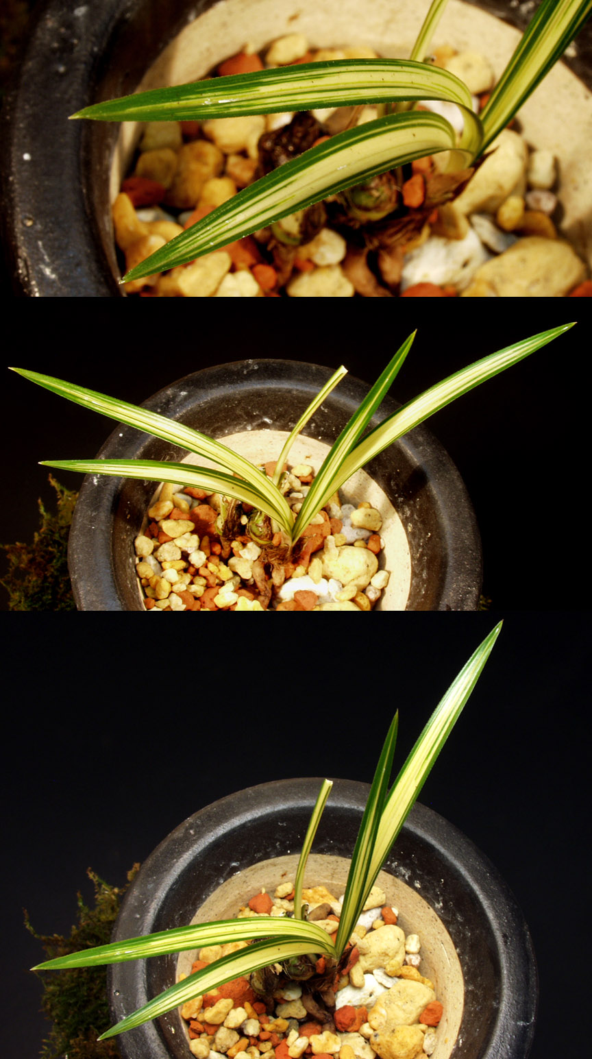 ������ ū������ �� �� �ֽ��ϴ�.