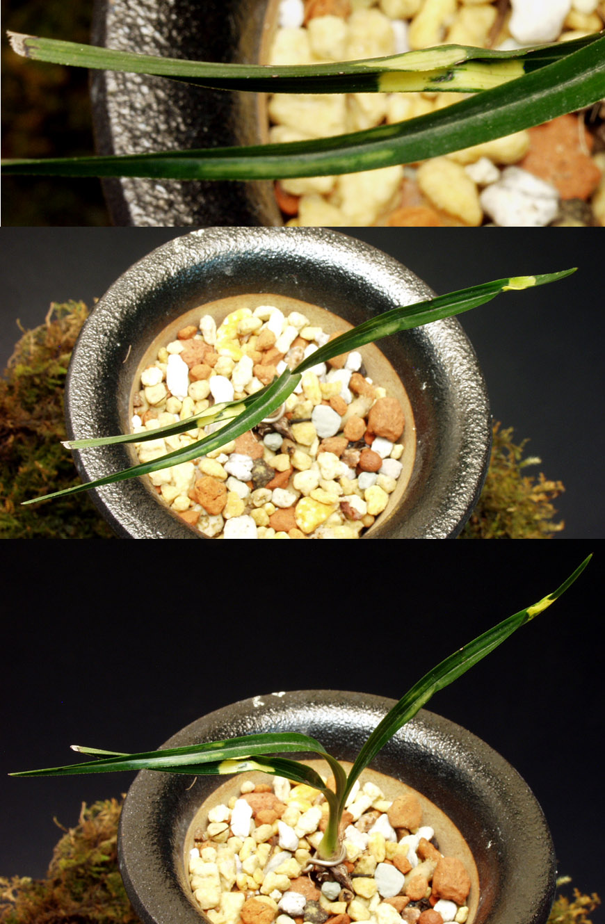 ������ ū������ �� �� �ֽ��ϴ�.